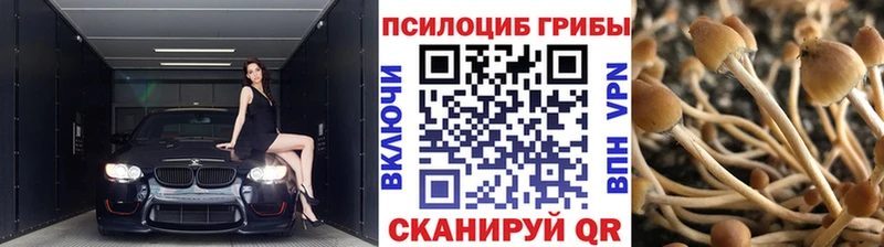 Купить закладки  Инта  Галлюциногенные грибы ЛСД 